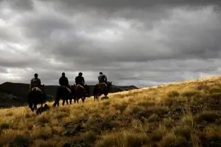 Конные прогулки