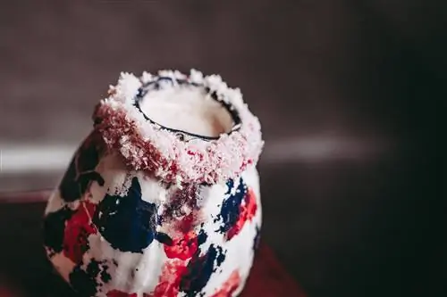 Его подача и вкус никого не оставят равнодушным.