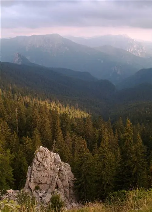Лес Перучица Лес Перучица