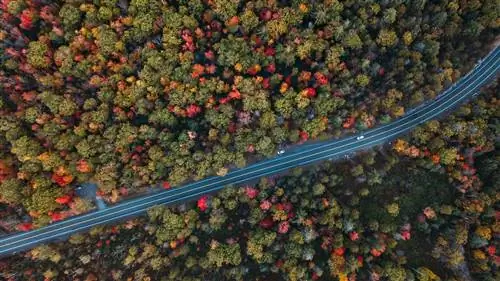 Как выжить в горах Катскилл?