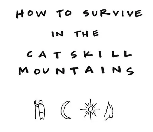 кошачьи навыки