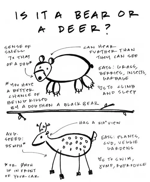 кошачьи навыки