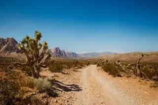 Ландшафт пустыни в Red Rock Canyon Лас-Вегас Ландшафт пустыни в Red Rock Canyon Лас-Вегас