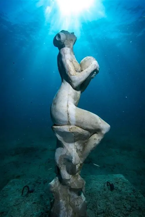 'La Graine et la Mer' Давиде Гальбиати