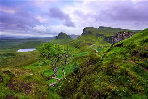 Вид на зеленый пейзаж Quiraing.