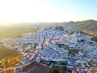 альгодоналес