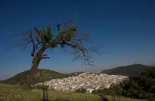 королевский луг