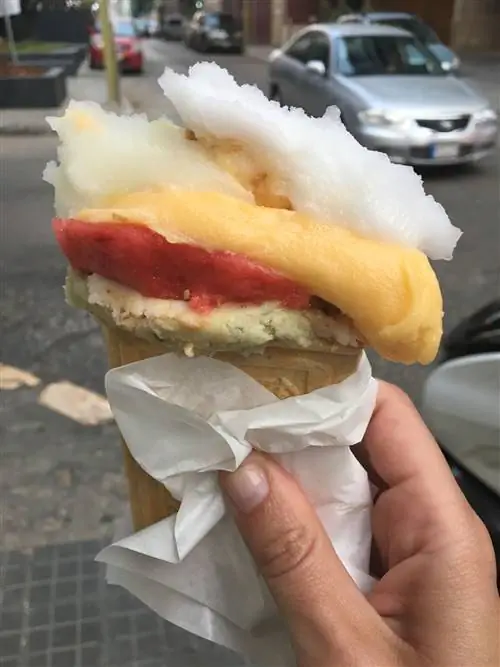 Ханна Митри