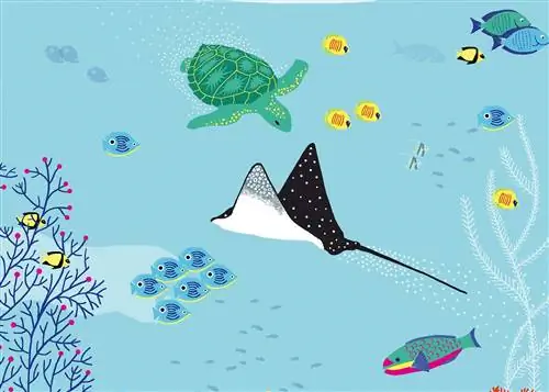 Страница из книги "Океан"