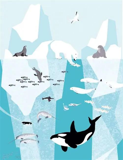 Страница из книги "Океан"