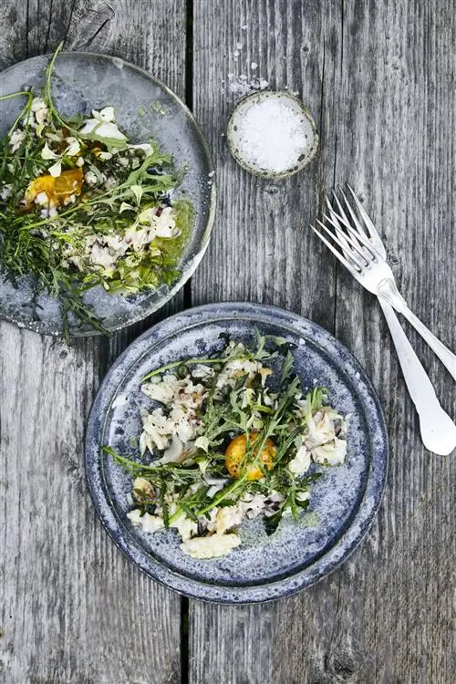 Рыбный тартар в Stedsans in the Woods.