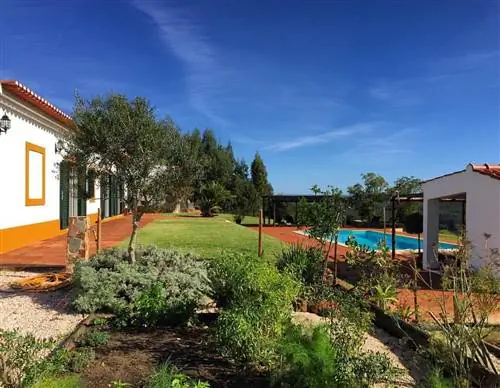 Фруктовый сад и бассейн в отеле Paraíso Escondido рядом с пляжами португальского Алентежу.