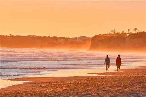 Конил границы