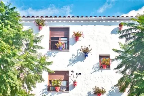 Фасад дома с цветами в Кониль-де-ла-Фронтера