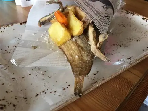 La Strazza Conil de la Frontera