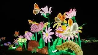 Захватывающий опыт MiniMondes en voie dillumination в Jardin des Plantes Захватывающий опыт MiniMondes en voie dillumination в Jardin des Plantes