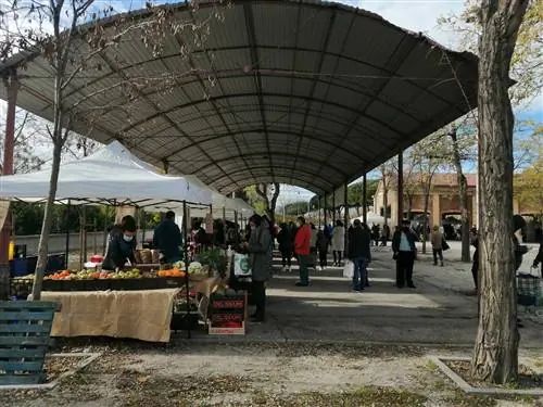 Планетарные производители