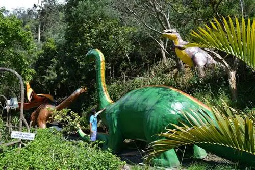 В парке Эдуардо Ecología Aventura невозможно заскучать.