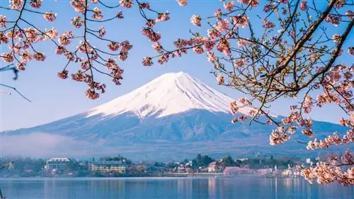 Лучшие вулканы мира для восхождения на вершину