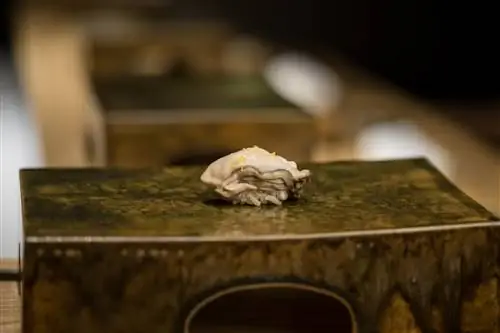 Цель состоит в том, чтобы стать более пуристами.