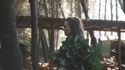 Галицкие поля