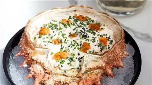 Ваш новый любимый русский салат в Мадриде – в Guillermina