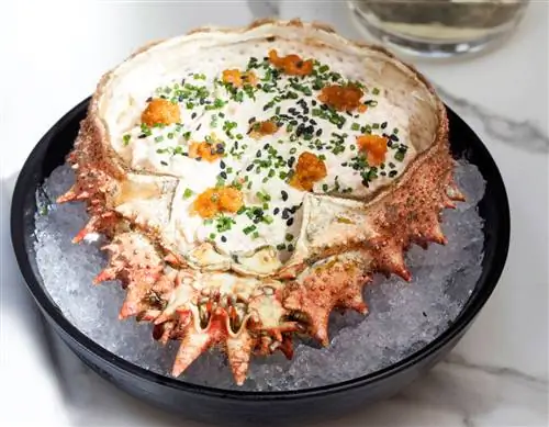 Гиллермина