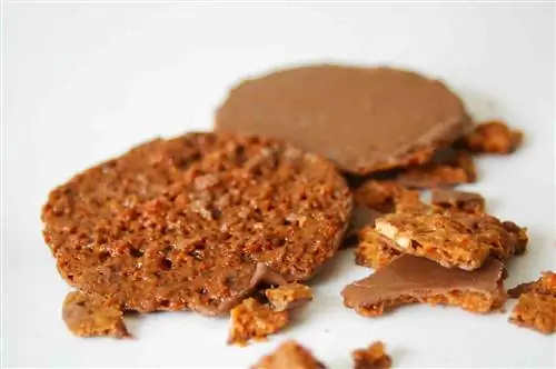 Риальто Москвичи