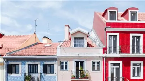 И лучшее направление в мире это