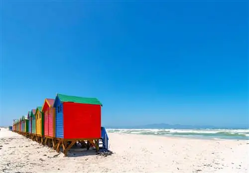 Пляж в Кейптауне.