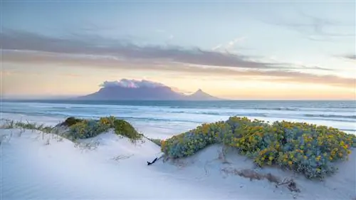 Южная Африка: радость жизни