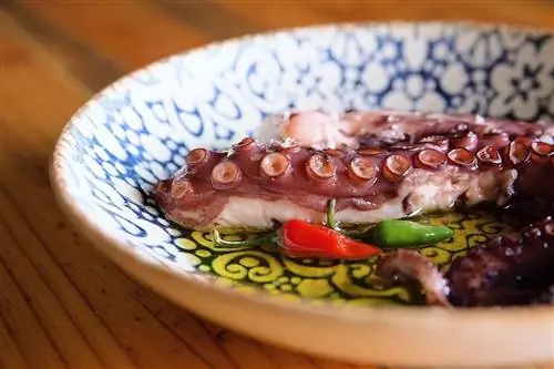 Традиционный тушеный осьминог в оливковом масле из мужского уксуса Тенерифе и перце пикона из Сильбо Гомеро