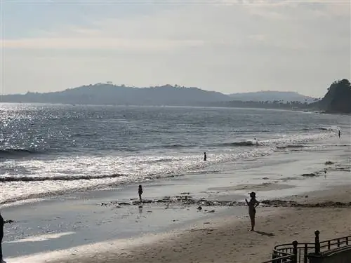 Терранавты Т. К. Бойл рассказывает правдивую историю Биосферы 2