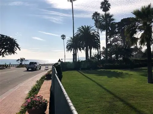 Терранавты Т. К. Бойл рассказывает правдивую историю Биосферы 2