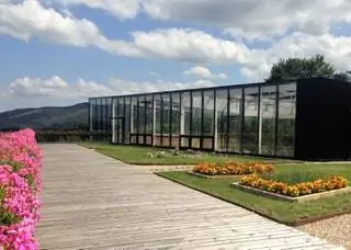 Устойчивое развитие по флагу