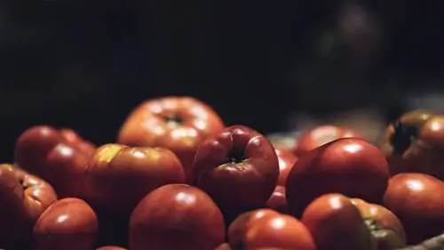 Ибица на тарелках