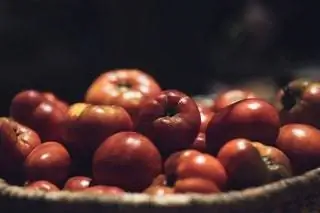 Ферма, Хосе Катримн