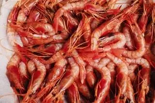 Tavern Re. Art Cana Pepeta от Дэвида Риартеса