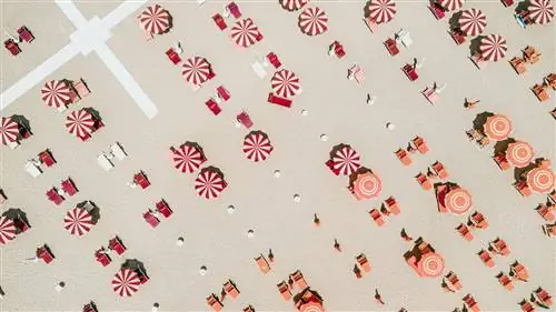 День в Римини: что посмотреть, чем заняться и что поесть