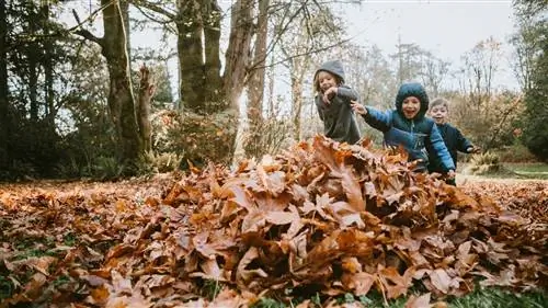 Чему мы можем научиться в Испании в норвежских детских садах?