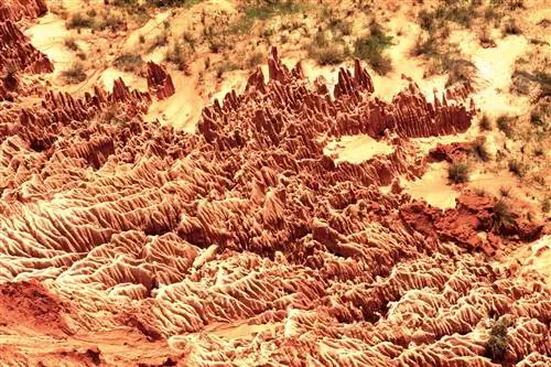 Мадагаскар