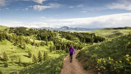 Great American Rail-Trail, путь, по которому США хотят пройти от побережья к побережью