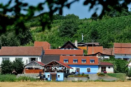 город вина
