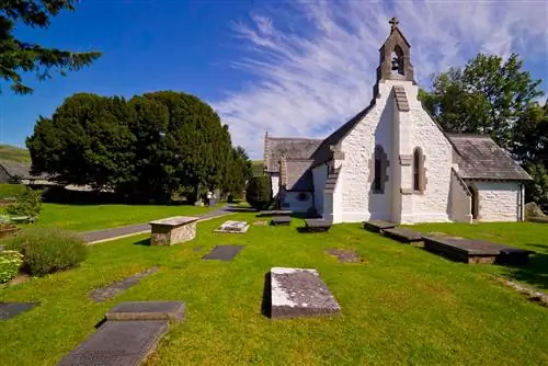 тис ллангерный