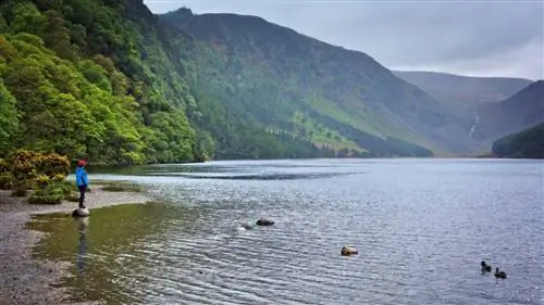 Горы Уиклоу - ваша новая причина поехать в Ирландию