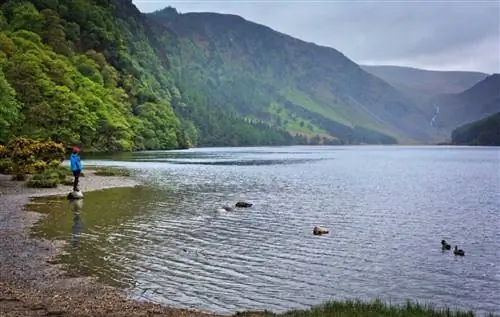 озеро Уиклоу