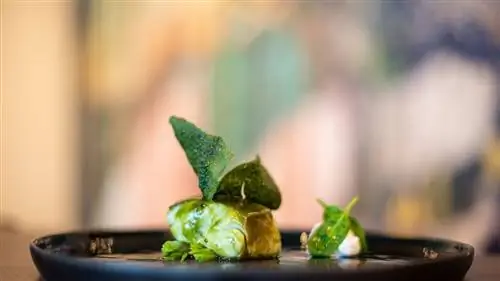 Руководство по еде в Бенидорме