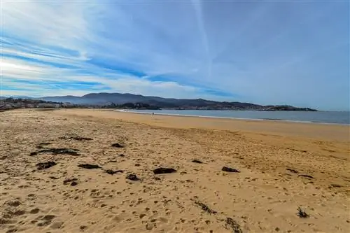 американский пляж