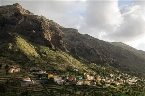 Valle Gran Rey Psychedelic La Gomera Valle Gran Rey Psychedelic La Gomera