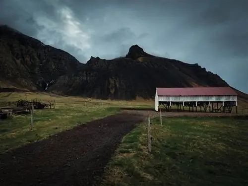 Склад акул в Исландии